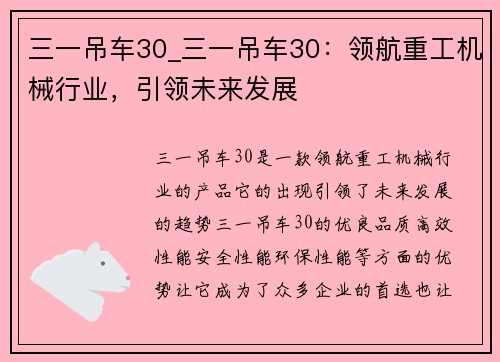 三一吊车30_三一吊车30：领航重工机械行业，引领未来发展